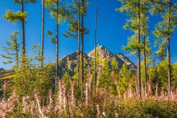 Mountain landscape at autumn season.