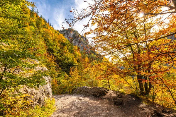 Paisagem montesa no outono dia ensolarado . — Fotografia de Stock