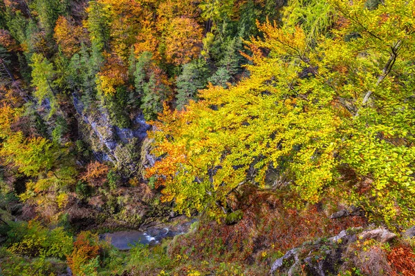 Mountain landscape in autumn day. — Stock Photo, Image