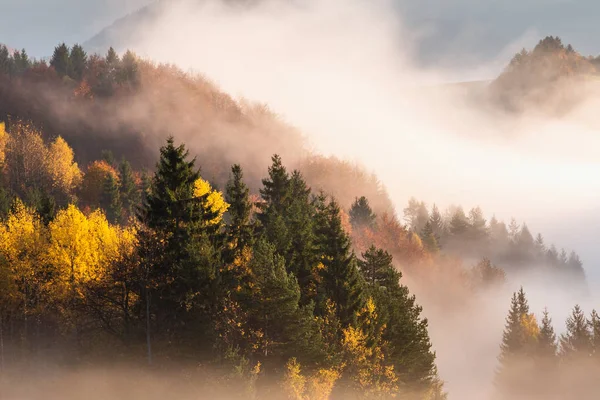 Paesaggio autunnale, mattina nebbiosa nella regione di Orava, Slovacchia — Foto Stock