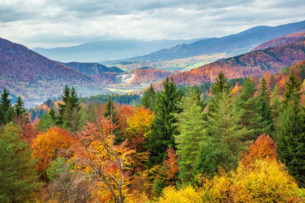 Sonbahar renklerinde ormanlarla kaplı dağ manzarası. — Stok fotoğraf