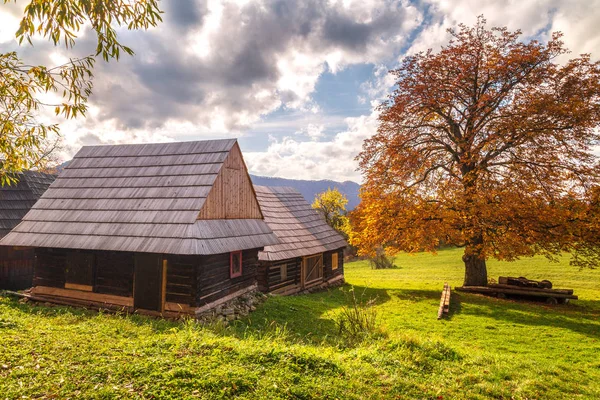 Paisagem de outono com árvore de cor laranja e casas de madeira . — Fotografia de Stock