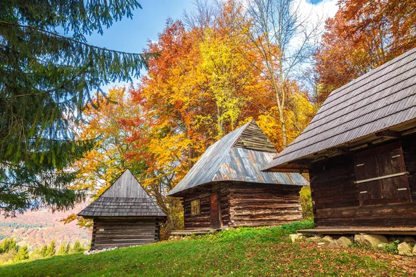 Turuncu renkli ağaç ve ahşap kulübelerle sonbahar manzarası. — Stok fotoğraf