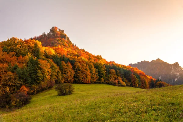 Paesaggio autunnale al tramonto con rovina medievale del castello di Hricov . — Foto Stock