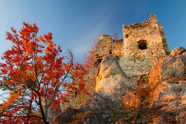 Autumn landscape at sunset with medieval ruin of Hricov castle. — Stock Photo, Image