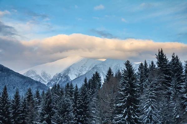 Batı Tatras dağlarında kış manzarası karla kaplıdır.. — Stok fotoğraf