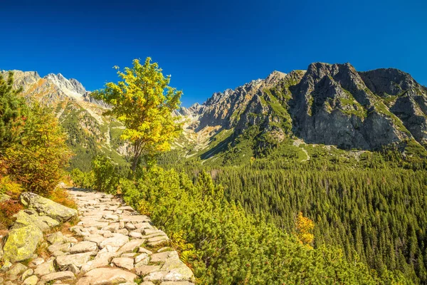 Sentiero escursionistico al lago Popradske pleso in alta montagna Tatra — Foto Stock