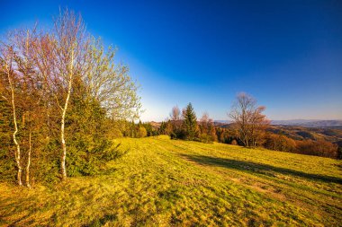 Gün batımında ormanları olan dağlık bir arazi. Slovakya 'nın kuzeyindeki Kysuce bölgesi, Avrupa.