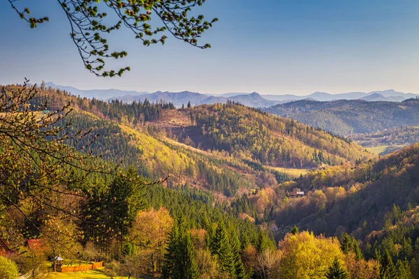 Bergslandskap Med Skog Våren Kysuce Region Norra Slovakien Europa — Stockfoto