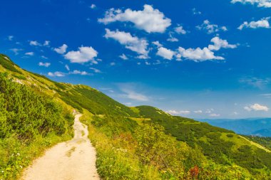 Mala Fatra Ulusal Parkı, Slovakya, Avrupa 'da dağ sırasının aşağısında yürüyüş yolu.