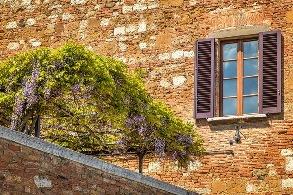 Fassade Mit Fenster Eines Alten Hauses Pienza Einer Stadt Der — Stockfoto