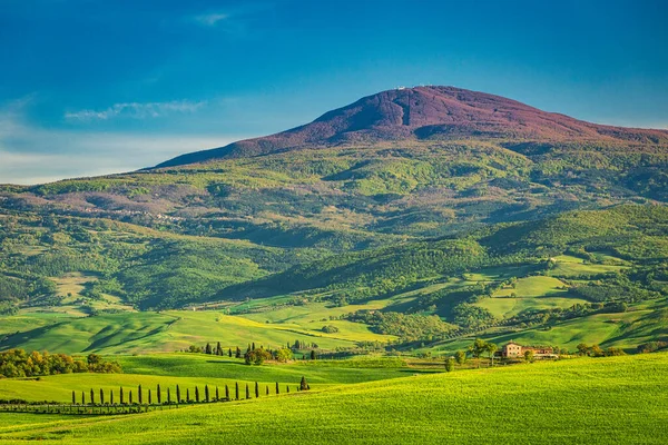 Tájkép Ciprusokkal Toszkána Val Orcia Régiójában Tavasszal Olaszországban — Stock Fotó