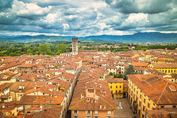 Top Pohled Historické Centrum Města Lucca Toskánsku Itálie Evropa — Stock fotografie