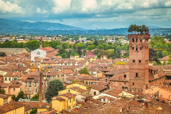 Top Pohled Historické Centrum Města Lucca Toskánsku Itálie Evropa — Stock fotografie