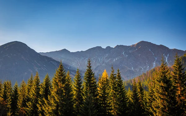 Paisaje Montaña Otoño Zona Rohace Parque Nacional Tatras Eslovaquia Europa —  Fotos de Stock