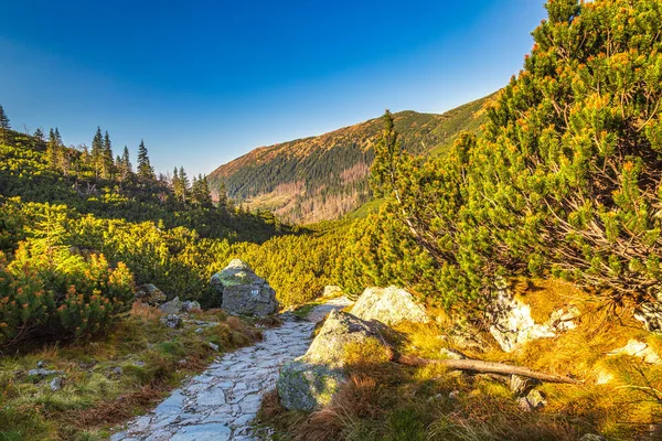 Bergslandskap Hösten Området Rohace Tatras Nationalpark Slovakien Europa — Stockfoto