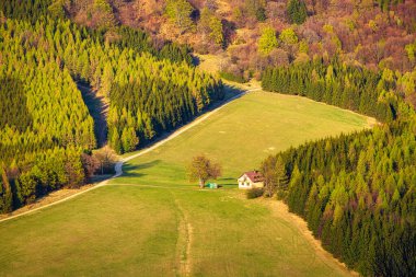 Ormanlarla çevrili bir çayırdaki yalnız ev..