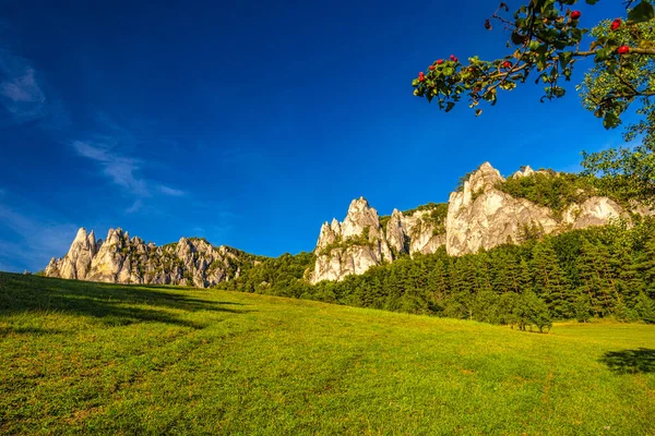 Bergslandskap Med Steniga Toppar Bakgrunden Sommartid Naturreservatet Sulov Rocks Slovakien — Stockfoto