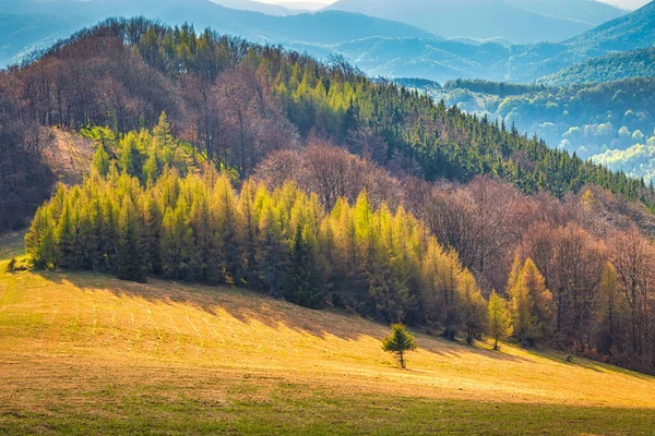 Landskap Med Kullar Täckta Med Skog Strazov Bergen Slovakien Europa — Stockfoto