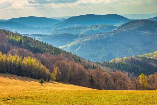 Landskap Med Kullar Täckta Med Skog Strazov Bergen Slovakien Europa — Stockfoto