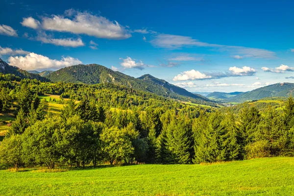 Skogsbeströdda Bergslandskap Solig Morgon Nationalparken Mala Fatra Slovakien Europa — Stockfoto