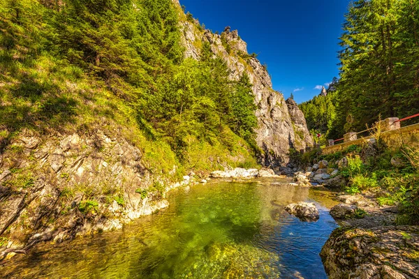 在阳光明媚的早晨 狂野的溪流流过山水 带着岩石峡谷 欧洲斯洛伐克Mala Fatra国家公园的Vratna山谷 — 图库照片