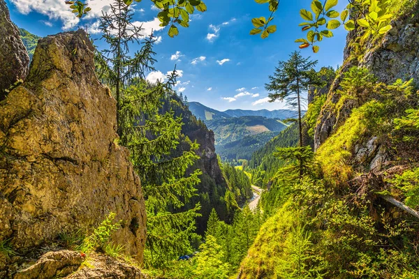 日当たりの良い朝に岩の海峡と山岳風景 マラFatra国立公園 スロバキア ヨーロッパのヴラツナ渓谷 — ストック写真