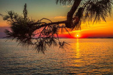 Primosten kasabasından gün batımında deniz manzarası, Hırvatistan, Avrupa 'nın Adriyatik kıyısındaki popüler bir turizm beldesi..