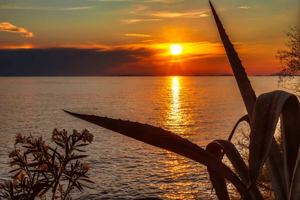 Meereslandschaft Bei Sonnenuntergang Von Primosten Einem Beliebten Touristenziel Der Dalmatinischen — Stockfoto