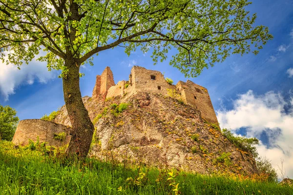 Medieval Castle Lednica Spring Sunny Day Slovakia Europe — Stock Photo, Image