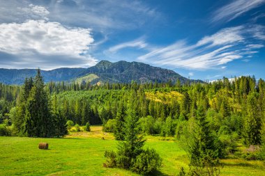 Tatra Ulusal Parkı 'nın Rohace bölgesindeki Osobita tepesi, Slovakya, Avrupa.