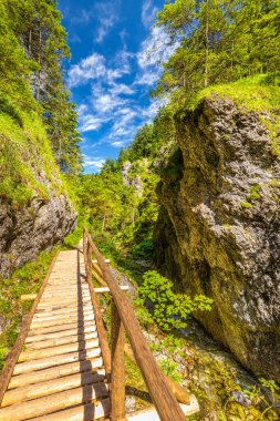 Juranova dolinasındaki dağ manzarası - Batı Tatras 'taki vadi, Tatra Ulusal Parkı, Slovakya, Avrupa.