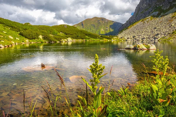 Berg Sjö Rohace Området Tatra National Park Slovakien Europa — Stockfoto