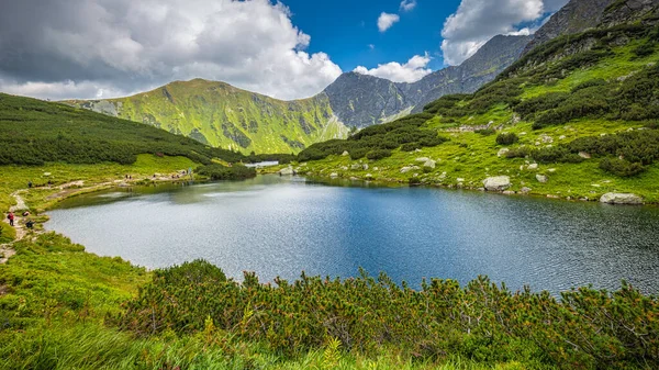 Гірське Озеро Рохасі Національному Парку Татра Словаччина Європа — стокове фото