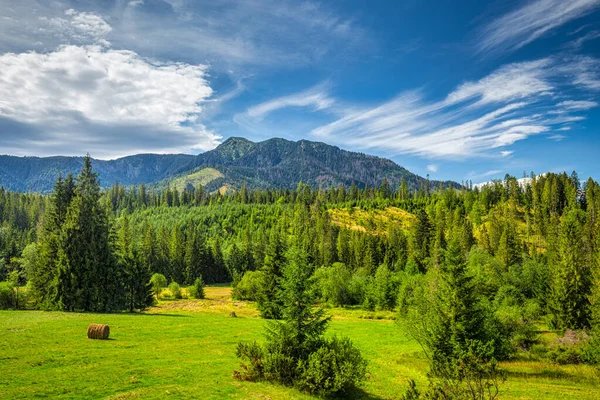 Collina Osobita Nella Zona Rohace Del Parco Nazionale Dei Tatra — Foto Stock