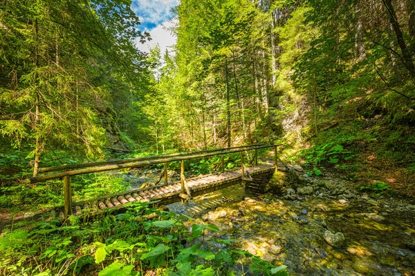 Mountain Landscape Juranova Dolina Valley Western Tatras Tatra National Park — Stock Photo, Image