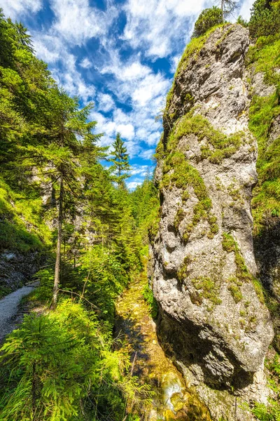 Bergslandskap Juranova Dolina Dal Västra Tatras Tatra Nationalpark Slovakien Europa — Stockfoto