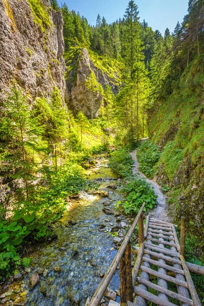 Hegyi Táj Juranova Dolina Völgy Nyugati Tátra Tátra Nemzeti Park — Stock Fotó