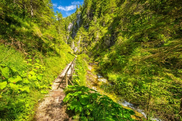 Mountain Landscape Juranova Dolina Valley Western Tatras Tatra National Park — Stock Photo, Image