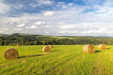 Çek Cumhuriyeti, Avrupa 'nın Hradec Kralove Bölgesi' ndeki Adrspach-Teplice Kayalıkları bölgesinin manzarası. Saman balyaları uçsuz bucaksız bir gökyüzünün altında canlı yeşil bir tarlada dağılmış bulutlar kırsal manzarayı gösteriyor..