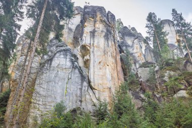 Adrspach-Teplice Kayaları, Avrupa 'nın Çek Cumhuriyeti' ndeki Hradec Kralove Bölgesi 'nde kumtaşı oluşumları. Yükselen kaya oluşumları yemyeşil ormanların arasında yükseliyor. Bu, doğanın heykel yeteneğinin bir göstergesi..