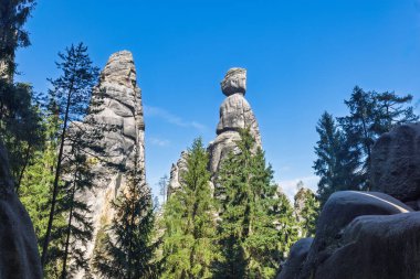 Adrspach-Teplice Kayaları, Avrupa 'nın Çek Cumhuriyeti' ndeki Hradec Kralove Bölgesi 'nde kumtaşı oluşumları. Yeryüzünden eşsiz kaya oluşumları yükseliyor, açık mavi gökyüzünün altındaki ağaçlar tarafından kısmen gizleniyor..