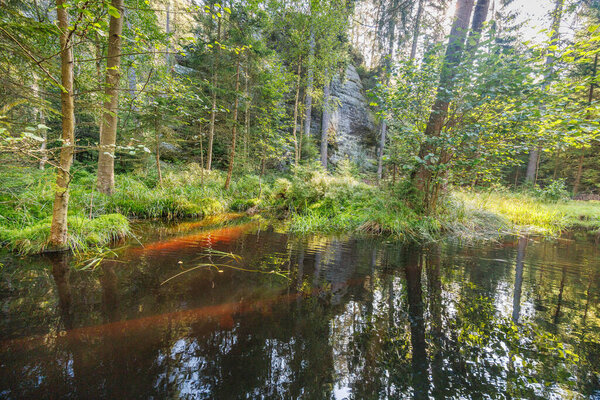Landscape of Adrspach-Teplice Rocks area, in Hradec Kralove Region in the Czech Republic, Europe. Serene forest pond reflecting the surrounding trees and sky in its dark, still water surface.