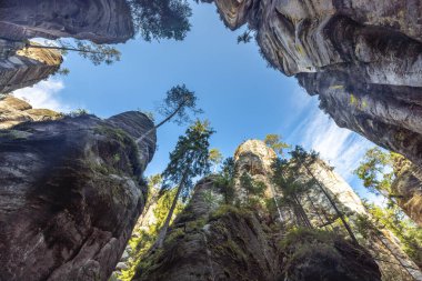 Adrspach-Teplice Kayaları, Avrupa 'nın Çek Cumhuriyeti' ndeki Hradec Kralove Bölgesi 'nde kumtaşı oluşumları. Açık mavi gökyüzüne karşı yükselen kaya oluşumları ve ağaçların dramatik perspektifi.