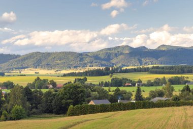 Avrupa 'nın Çek Cumhuriyeti' nin Hradec Kralove bölgesindeki Broumovsko Koruma Alanı. Yuvarlanan tepeleri, yeşil tarlaları ve büyüleyici evleri olan manzaralı bir kır manzarası..
