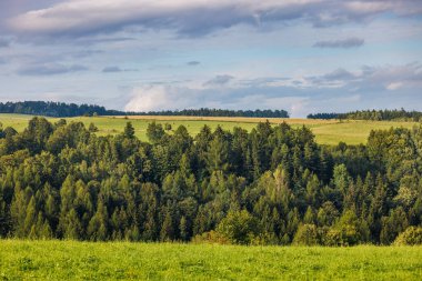 Çek Cumhuriyeti 'nin Avrupa' daki Hradec Kralove Bölgesi 'ndeki Adrspach-Teplice Kayalıkları' nın manzarası. Yoğun bir ormanın ve bulutlu bir gökyüzünün altında yuvarlanan tepelerin yer aldığı yemyeşil bir manzara..