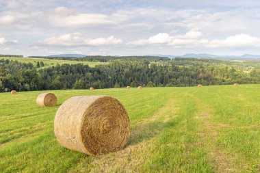 Çek Cumhuriyeti 'nin Avrupa' daki Hradec Kralove Bölgesi 'ndeki Adrspach-Teplice Kayalıkları' nın manzarası. Altın saman balyaları yemyeşil bir çayırı benekler, yuvarlanan tepeler ve tüylü bulutlarla çevrili mavi bir gökyüzü.