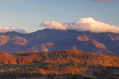 Yumuşak bir gökyüzünün altında sonbahar sıradağları, ön planda renkli ağaçlar ve hafif ışıkla aydınlatılıyor. Slovakya, Avrupa 'daki Mala Fatra Milli Parkı.