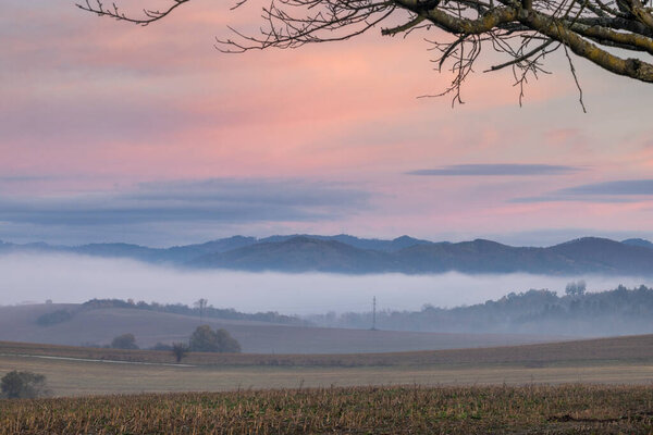 Туманный восход солнца над открытыми полями и далекими горами, обрамленными силуэтами деревьев на фоне розового неба.