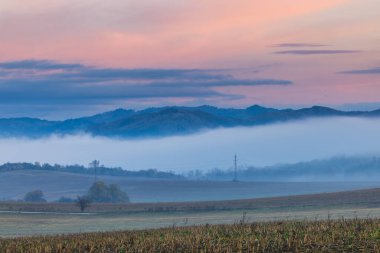 Sis, gün doğumunda yuvarlanan tepeleri kaplayarak yumuşak renklerden ve sisli atmosferden oluşan sakin bir manzara yaratır..